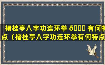 褚桂亭八字功连环拳 💐 有何特点（褚桂亭八字功连环拳有何特点和 🌸 作用）